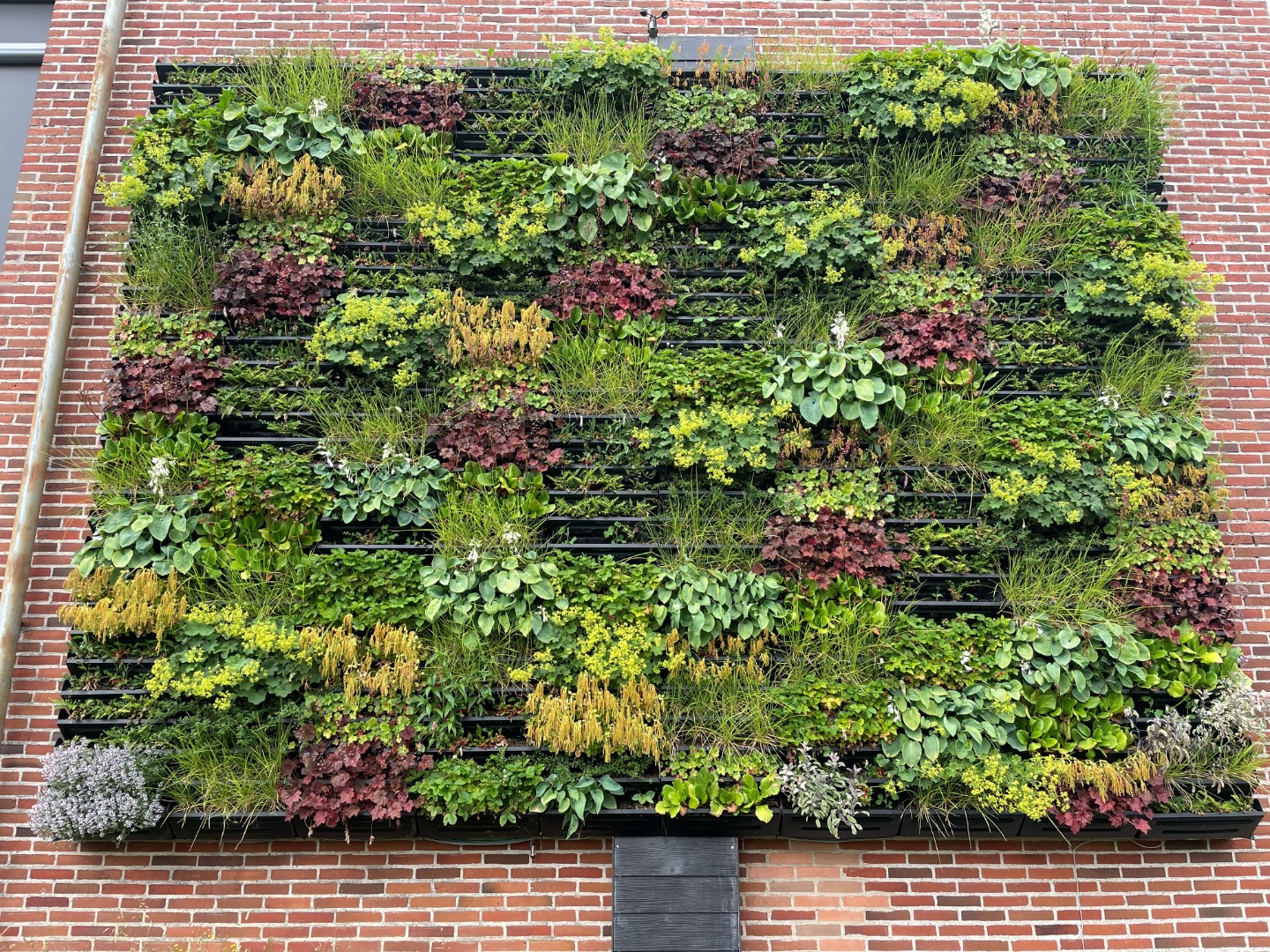 Green climate walls and the technology behind